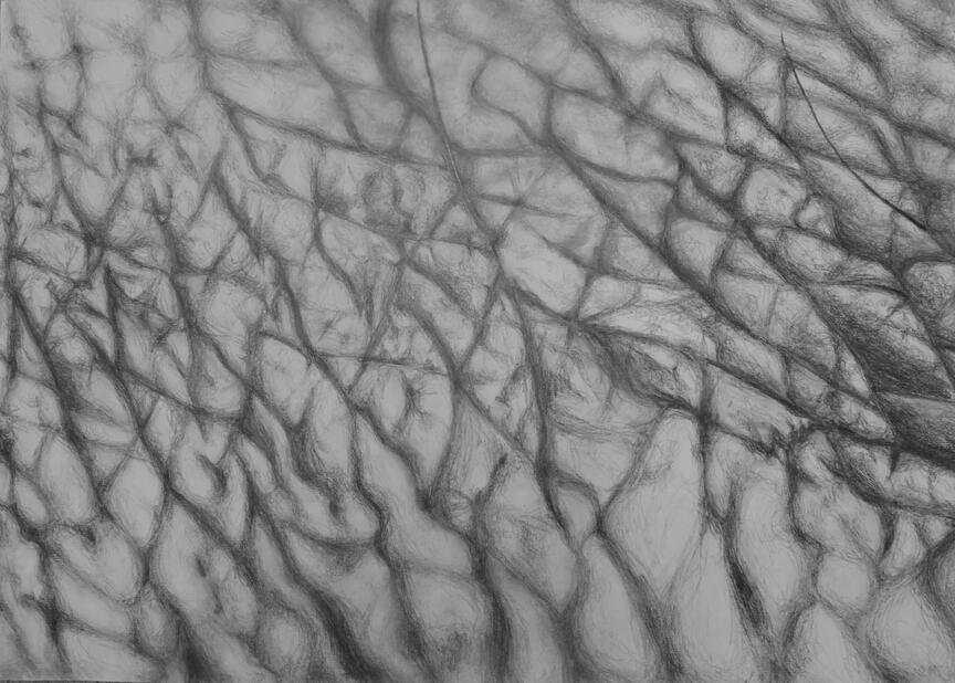 skin on the back of the hand